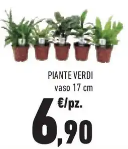 Conad Superstore Piante verdi vaso 17 cm offerta