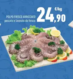 Conad Superstore Polpo fresco arricciato offerta