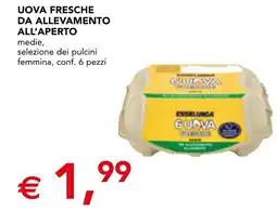 Esselunga Uova fresche da allevamento all'aperto offerta