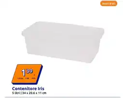 Action Contenitore Iris offerta
