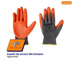 Action Guanti da lavoro Werckmann offerta