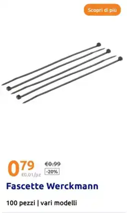 Action Fascette Werckmann offerta