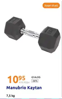 Action Manubrio Kaytan offerta