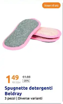 Action Spugnette detergenti Beldray offerta