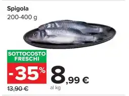 Carrefour Spigola offerta