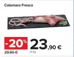 Carrefour CALAMARO FRESCO offerta