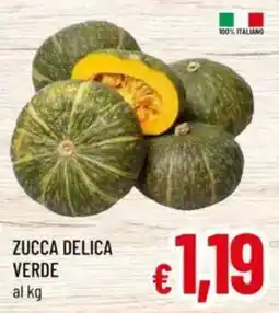 A&O Zucca delica verde offerta