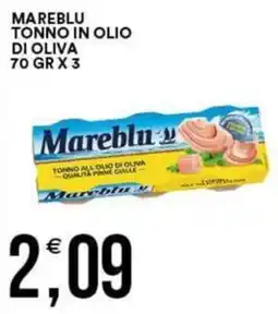 Vantaggio Cash&Carry Mareblu tonno in olio di oliva offerta