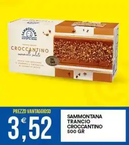 Vantaggio Cash&Carry Sammontana trancio croccantino offerta