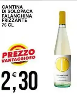 Vantaggio Cash&Carry Cantina di solopaca falanghina frizzante offerta