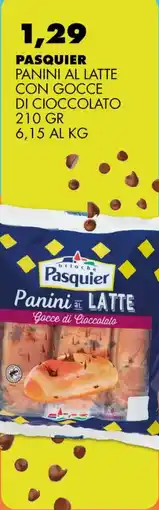 Gecop Pasquier panini al latte con gocce di cioccolato offerta