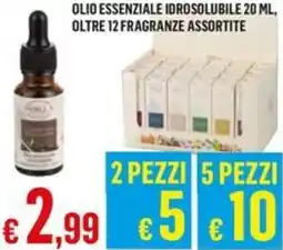 Satur Olio essenziale idrosolubile,diffusore oltre 12 fragranze assortite offerta