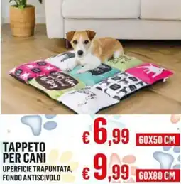 Satur Tappeto per cani 60x50 cm offerta