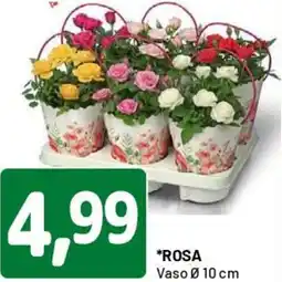 DPiù Rosa offerta