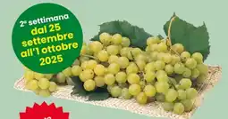 Eurospar Uva Italia Passo Dopo Passo Despar offerta
