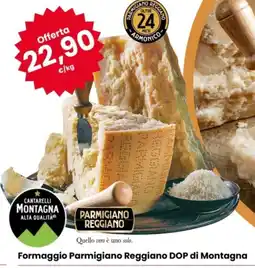 Eurospar Formaggio Parmigiano Reggiano DOP di Montagna offerta