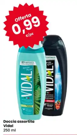 Eurospar Doccia assortita Vidal offerta