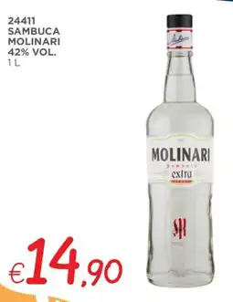 Zona Sambuca MOLINARI 42% VOL. offerta