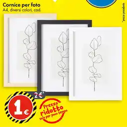 Tedi Cornice per foto A4 offerta