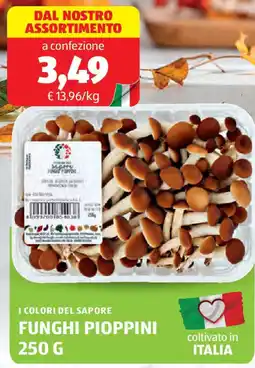 ALDI I colori del sapore funghi pioppini offerta