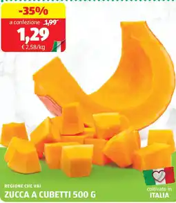 ALDI Regione che vai zucca a cubetti offerta