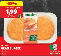 ALDI Amadori gran burger offerta