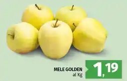 Pam Mele golden offerta