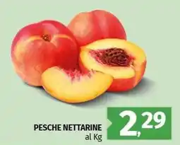 Pam Pesche nettarine offerta
