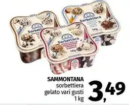 Pam SAMMONTANA sorbettiera gelato vari gusti offerta