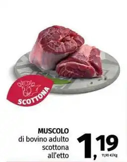 Pam MUSCOLO di bovino adulto scottona all'etto offerta