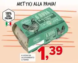 Todis Casa bonelli 6 uova da allevamento a terra offerta