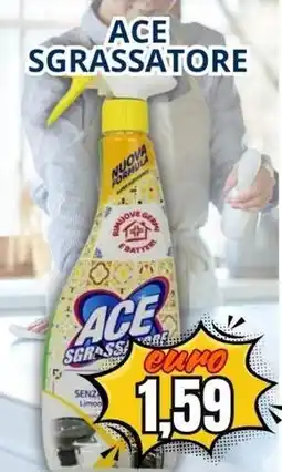 A Casa Mia Ace sgrassatore offerta