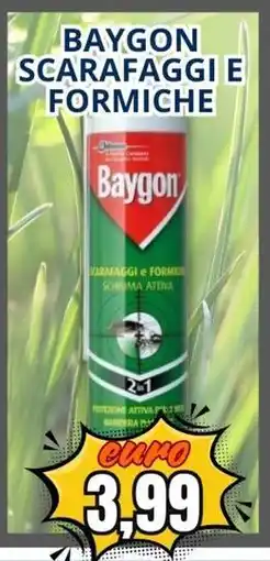 A Casa Mia Baygon scarafaggi e formiche offerta