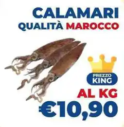 Fish's King Calamari qualità marocco offerta