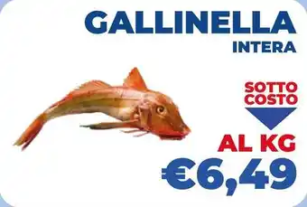 Fish's King Gallinella intera offerta