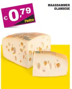 A&O Maasdammer olandese offerta