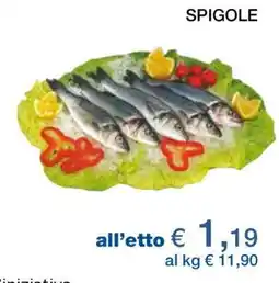 Coop Spigole offerta