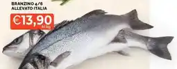 Mercatò Branzino 4/6 allevato italia offerta