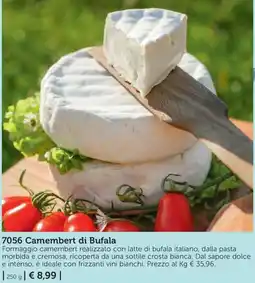 Bofrost 7056 Camembert di Bufala offerta
