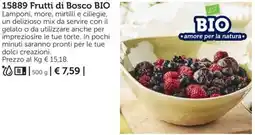 Bofrost 15889 Frutti di Bosco BIO offerta