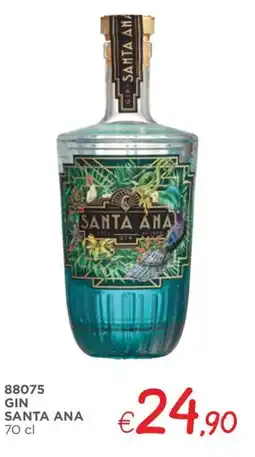 Zona Gin santa ana offerta
