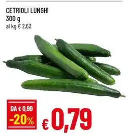 Famila Cetrioli Lunghi offerta
