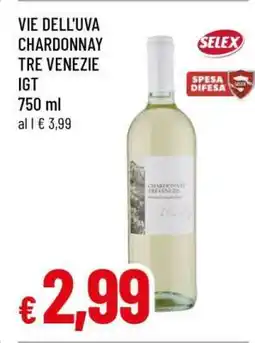 Famila VIE DELL'UVA CHARDONNAY TRE VENEZIE IGT offerta