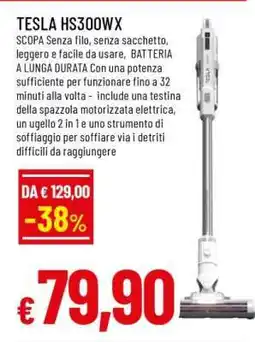 Famila TESLA HS300WX offerta