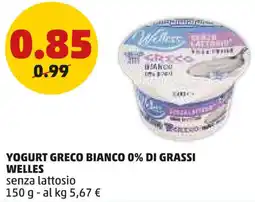 PENNY Yogurt greco bianco 0% di grassi WELLES offerta