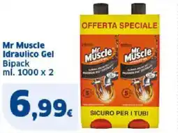 Sigma Mr Muscle Idraulico Gel offerta