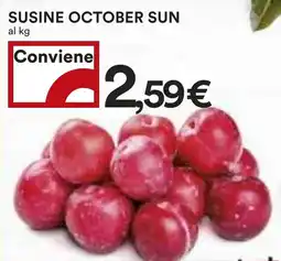 Coop Susine october sun offerta