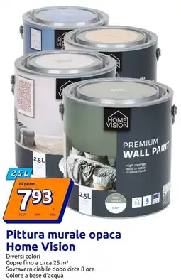 Action Pittura murale opaca Home Vision offerta