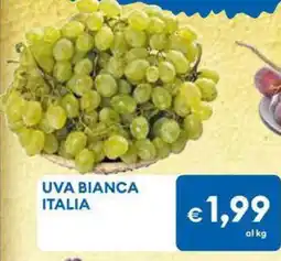 MD Discount Uva bianca italia offerta