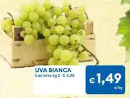 MD Discount Uva bianca offerta